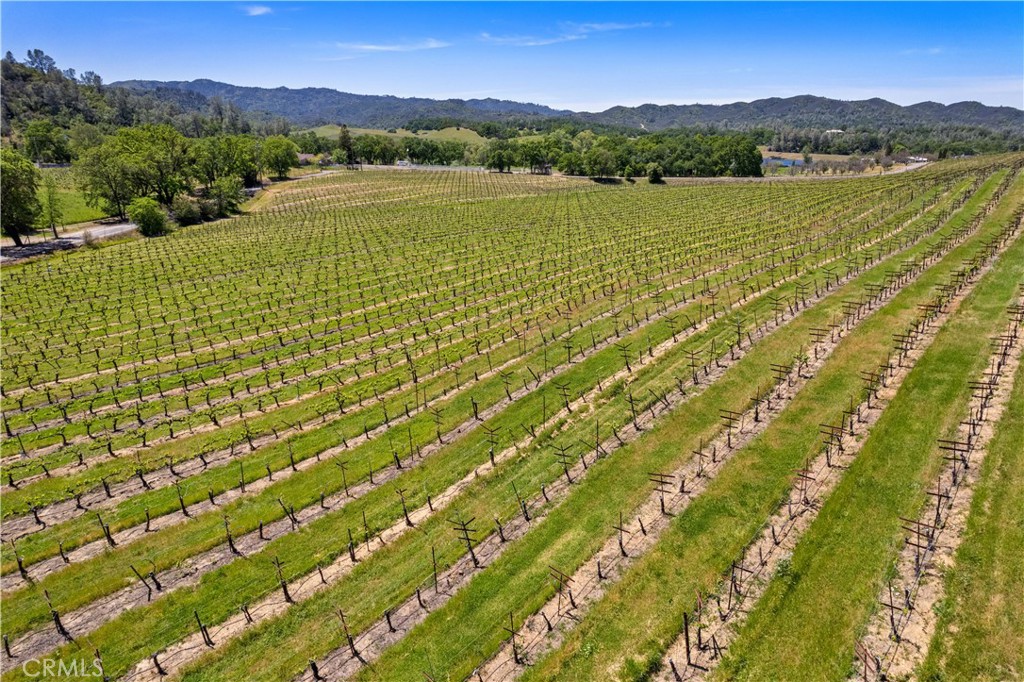 7875 Adobe Creek Road Kelseyville, CA 95451 - Photo 34 of 51 a view of lake and mountain