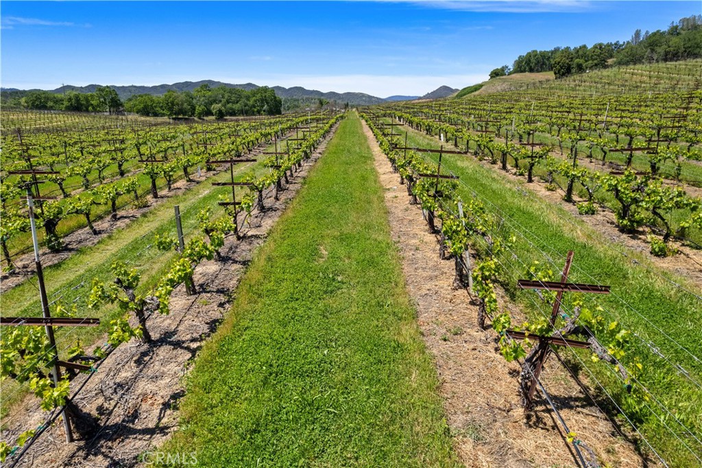 7875 Adobe Creek Road Kelseyville, CA 95451 - Photo 35 of 51 a view of a city with an ocean