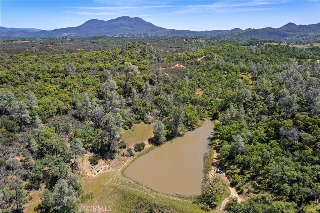 7875 Adobe Creek Road Kelseyville, CA 95451 - Photo 37 of 51 a view of a lush green hillside and a houses