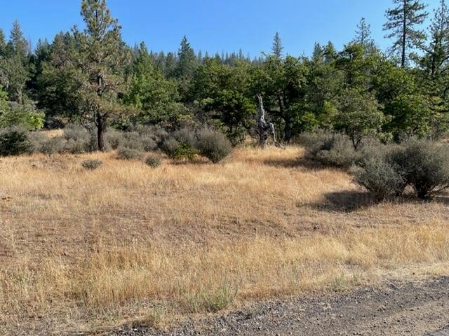 199 River Heights Road Trail, OR 97541 - Photo 3 of 10 199 (2)