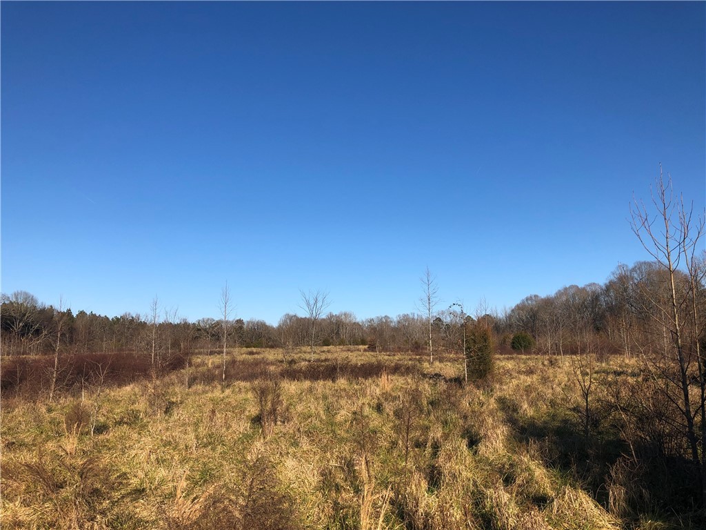 0 McIlwain Road Abbeville, SC 29620 - Photo 13 of 15 Gallery Image 13