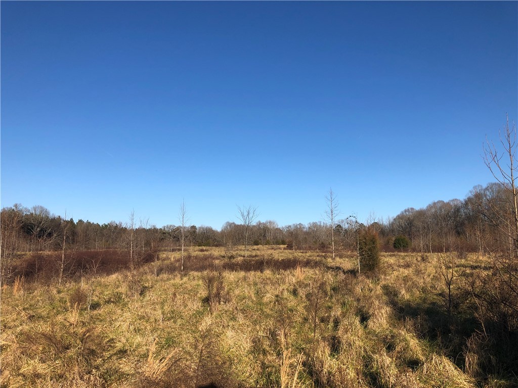 0 McIlwain Road Abbeville, SC 29620 - Photo 14 of 15 Gallery Image 14