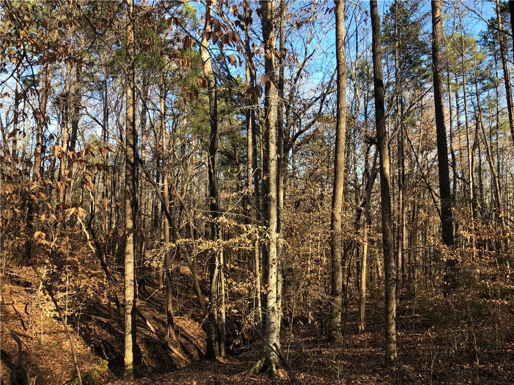 0 McIlwain Road Abbeville, SC 29620 - Photo 2 of 15 Gallery Image 2