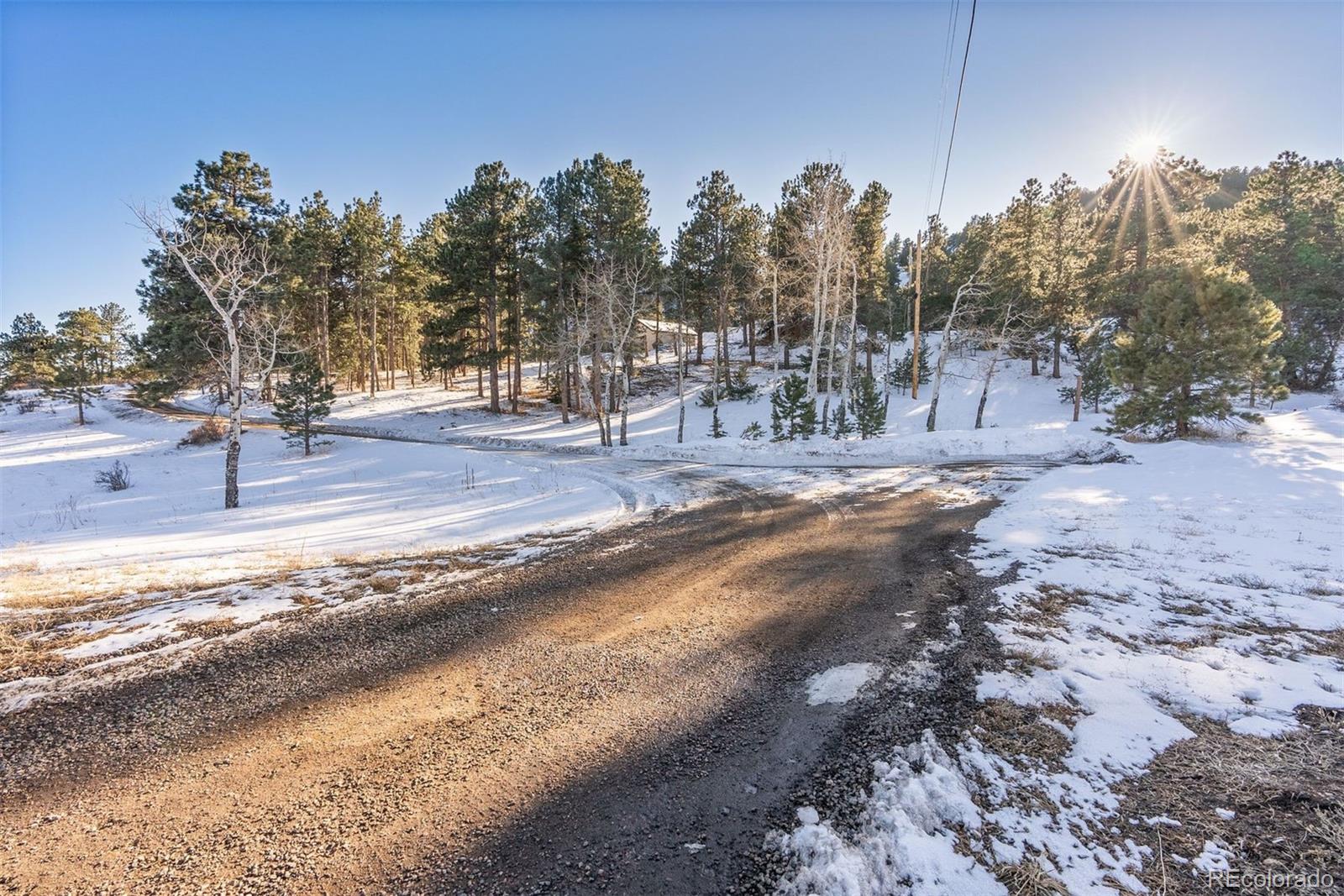 Hotel Way Evergreen, CO 80439 - Photo 14 of 50 a view of a yard with a tree