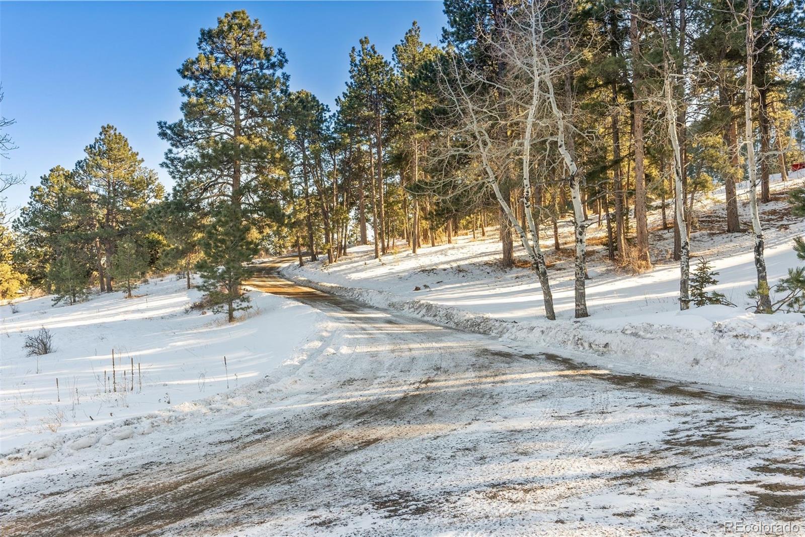 Hotel Way Evergreen, CO 80439 - Photo 18 of 50 a view of dirt yard with a tree