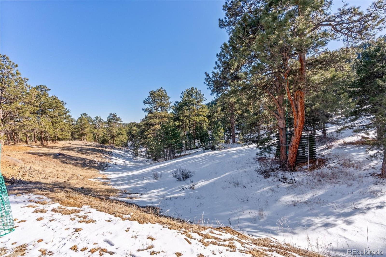Hotel Way Evergreen, CO 80439 - Photo 20 of 50 a view of a forest with trees in the background
