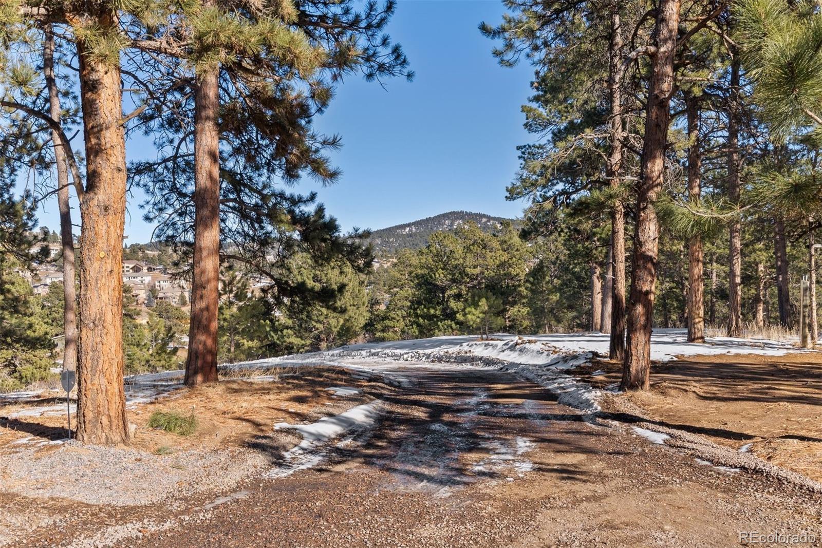 Hotel Way Evergreen, CO 80439 - Photo 48 of 50 a view of a yard with plants and trees