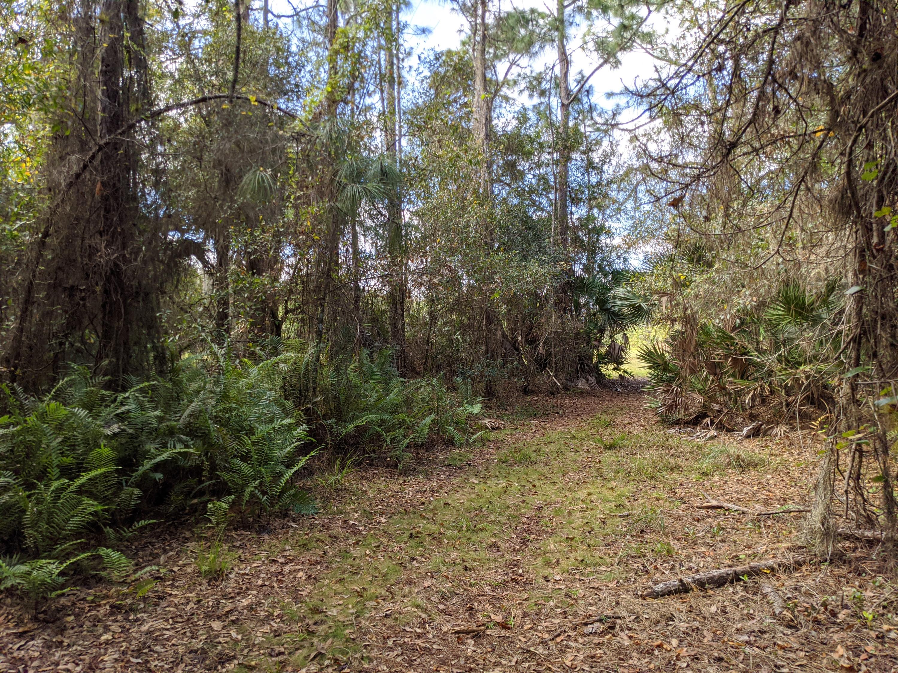 7851 Southwest Fox Brown Road Indiantown, FL 34956 - Photo 31 of 67 IMG_20210109_113651
