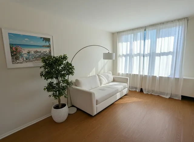 a living room with furniture and a potted plant