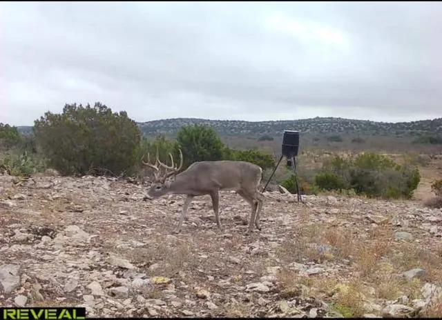 a view of a lake with a mountain in the back