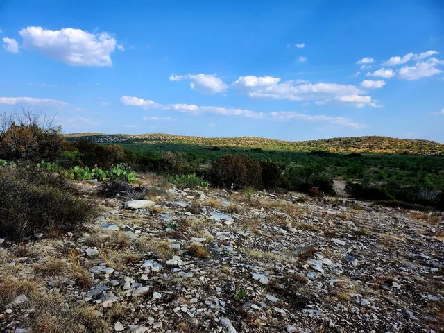 a view of a lake with a mountain