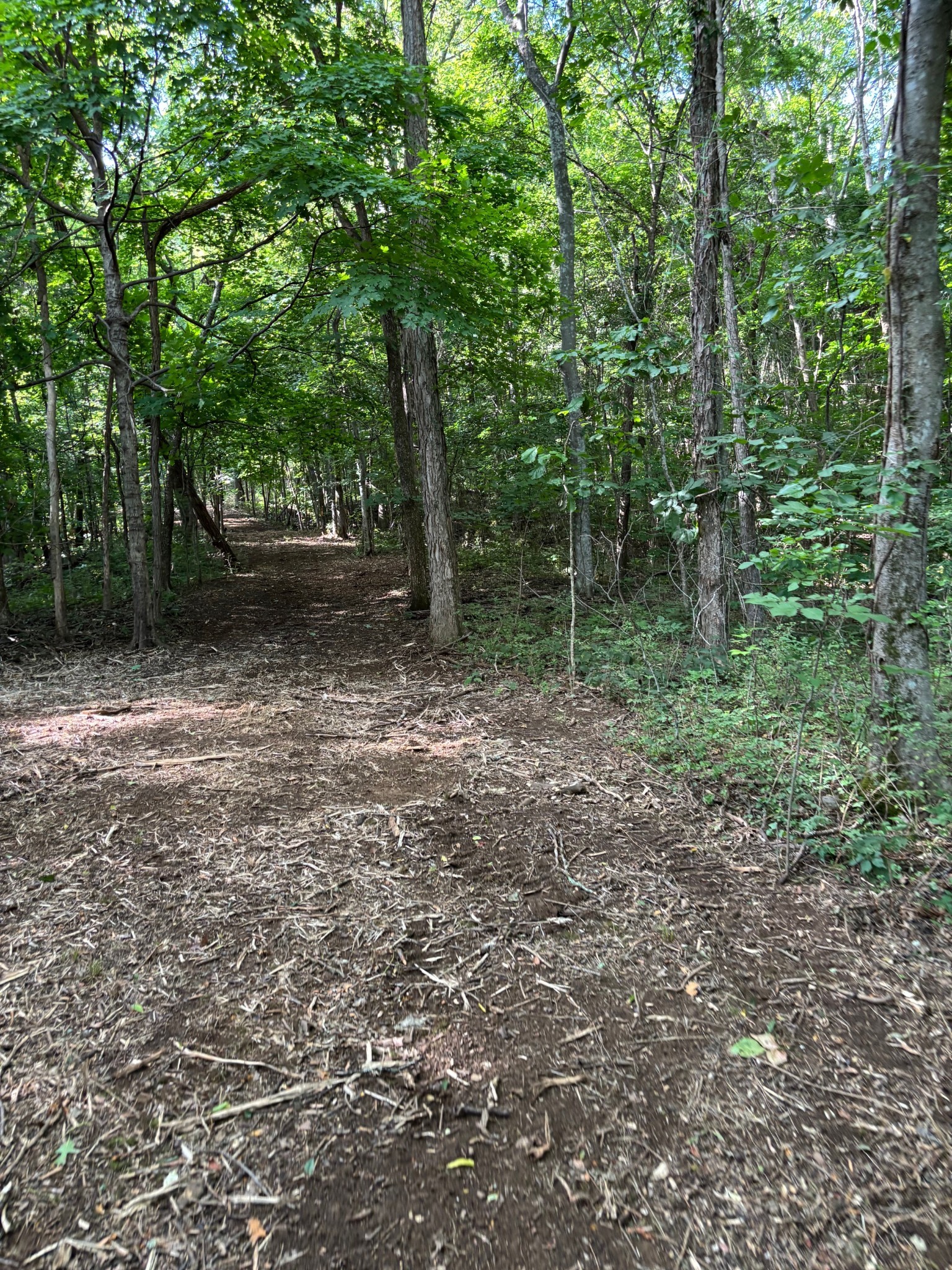 2517 Patton Hollow Road Watertown, TN 37184 - Photo 21 of 29