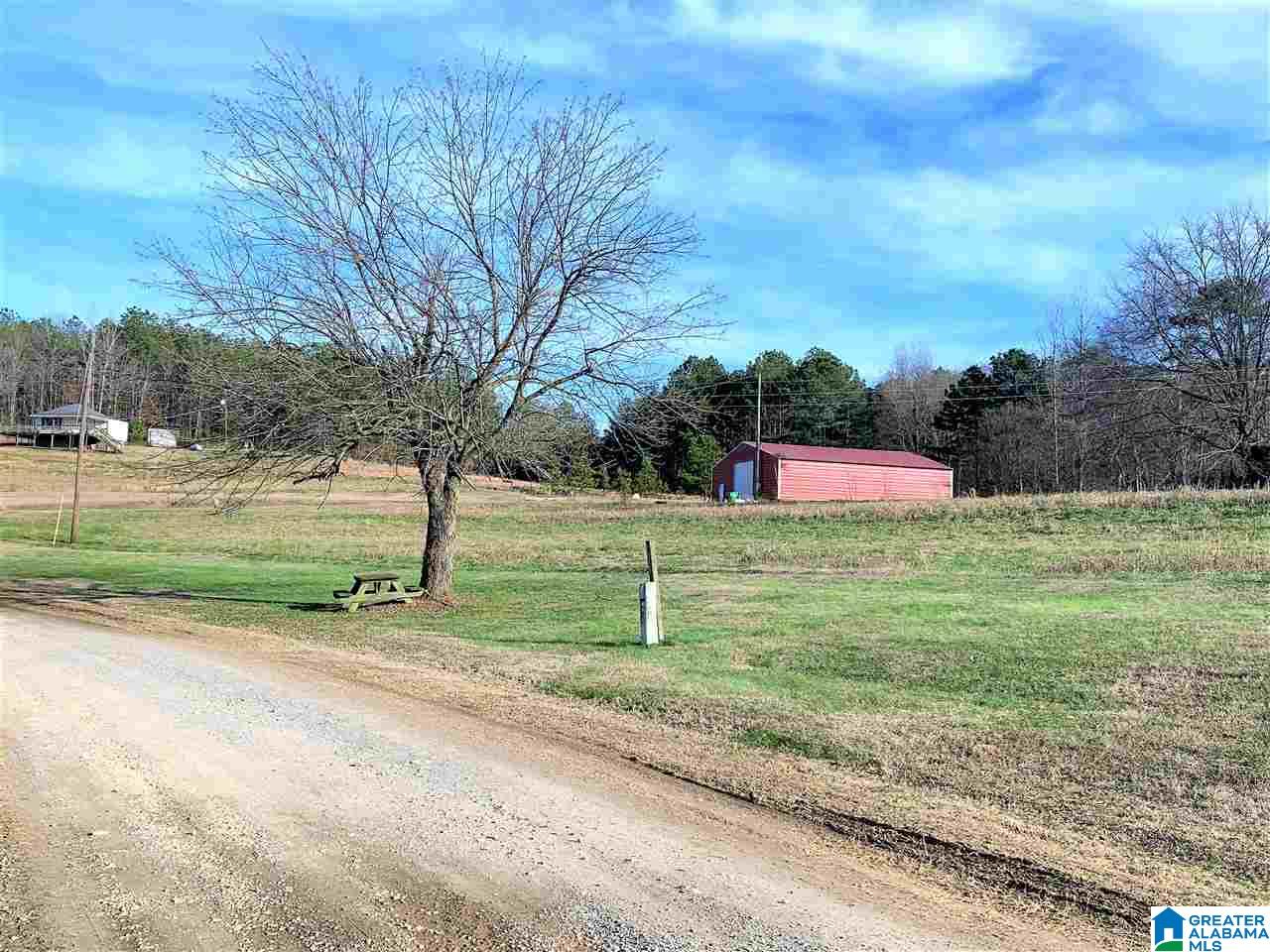 1141 County Road 482 Heflin, AL 36264 - Photo 11 of 44