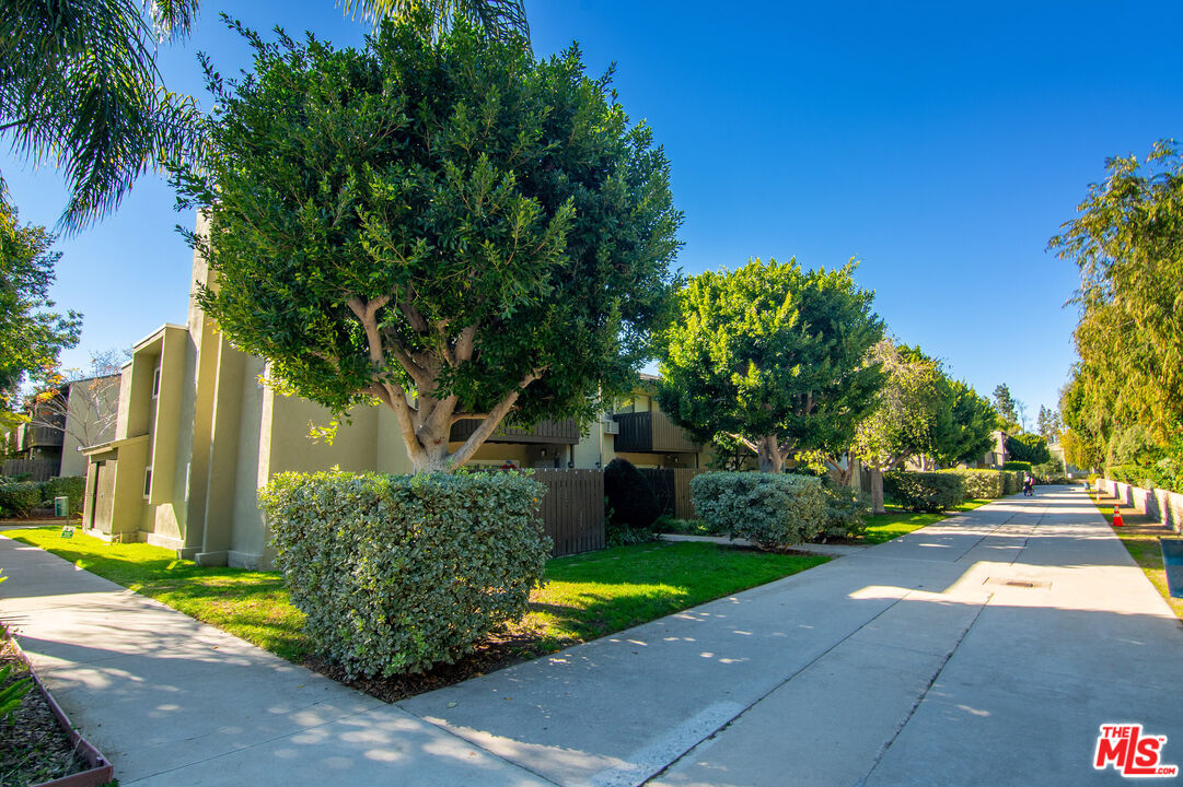 4925 Indian Wood Road, Unit 474 Culver City, CA 90230 - Photo 34 of 36 a view of a park with plants and a large tree