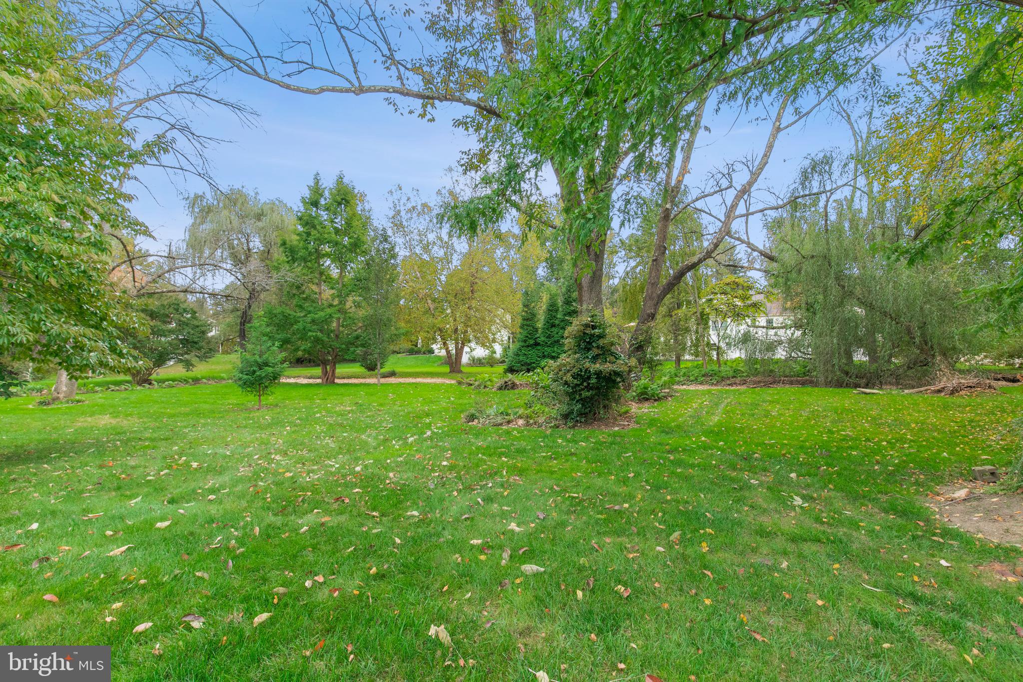 262 Coldstream Drive Berwyn, PA 19312 - Photo 31 of 45 a view of yard with green space