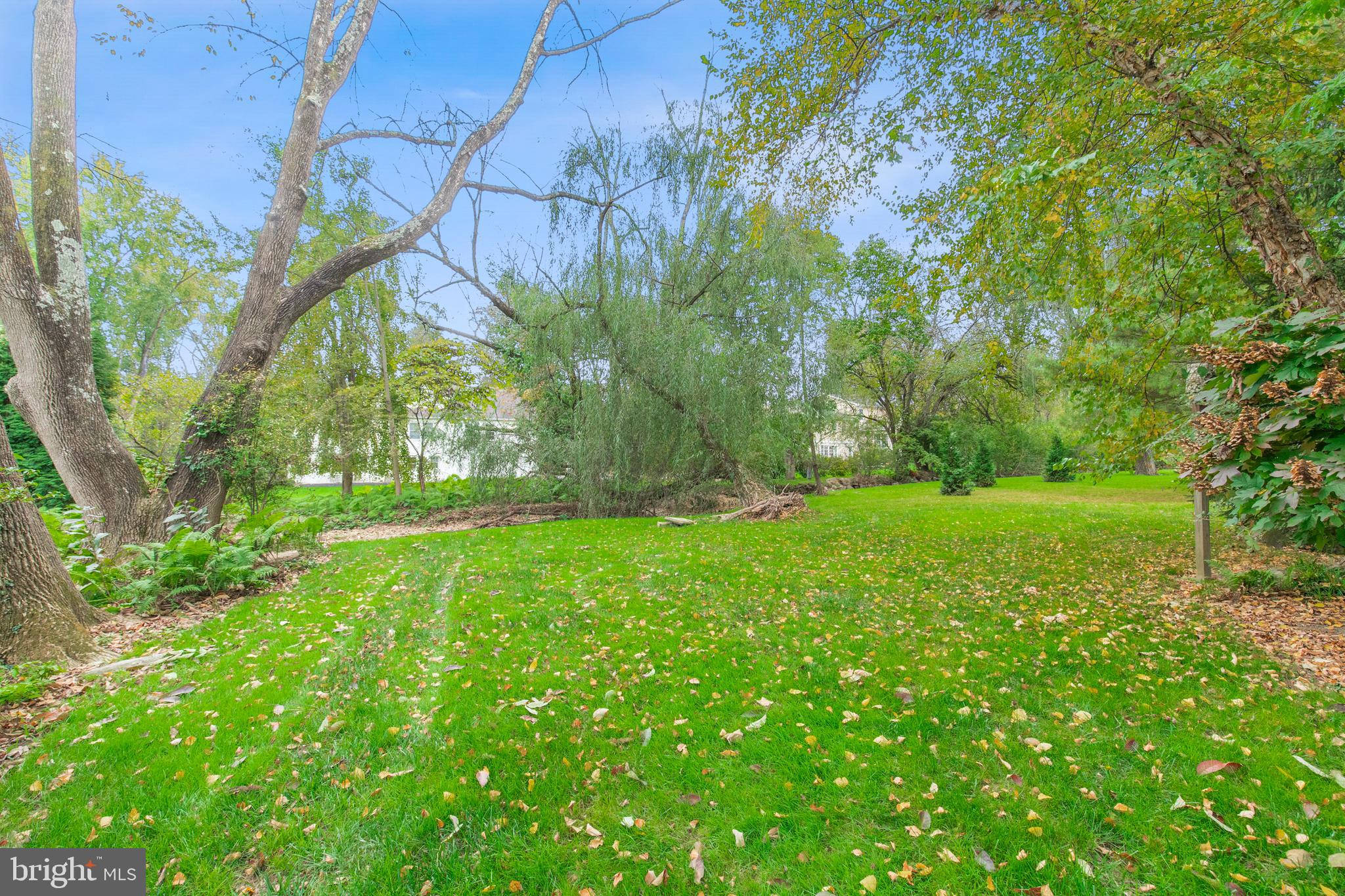 262 Coldstream Drive Berwyn, PA 19312 - Photo 32 of 45 a view of yard with green space