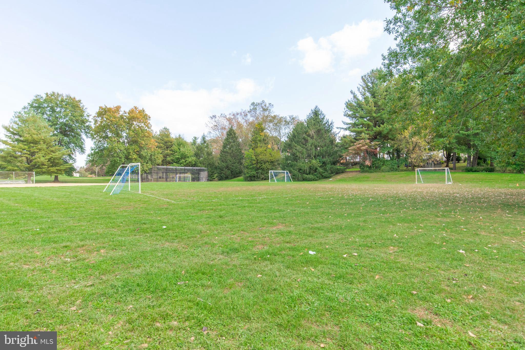 262 Coldstream Drive Berwyn, PA 19312 - Photo 38 of 45 a view of a park with large trees