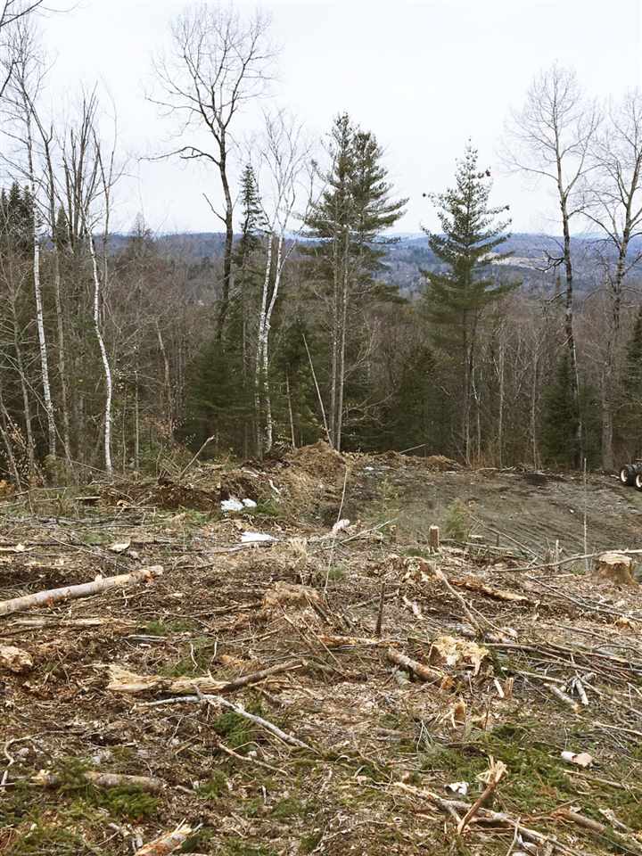 Sy Lewis Mountain Road Concord, VT 05824 - Photo 4 of 6