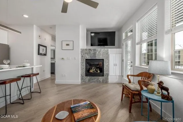 a living room with furniture and a fireplace