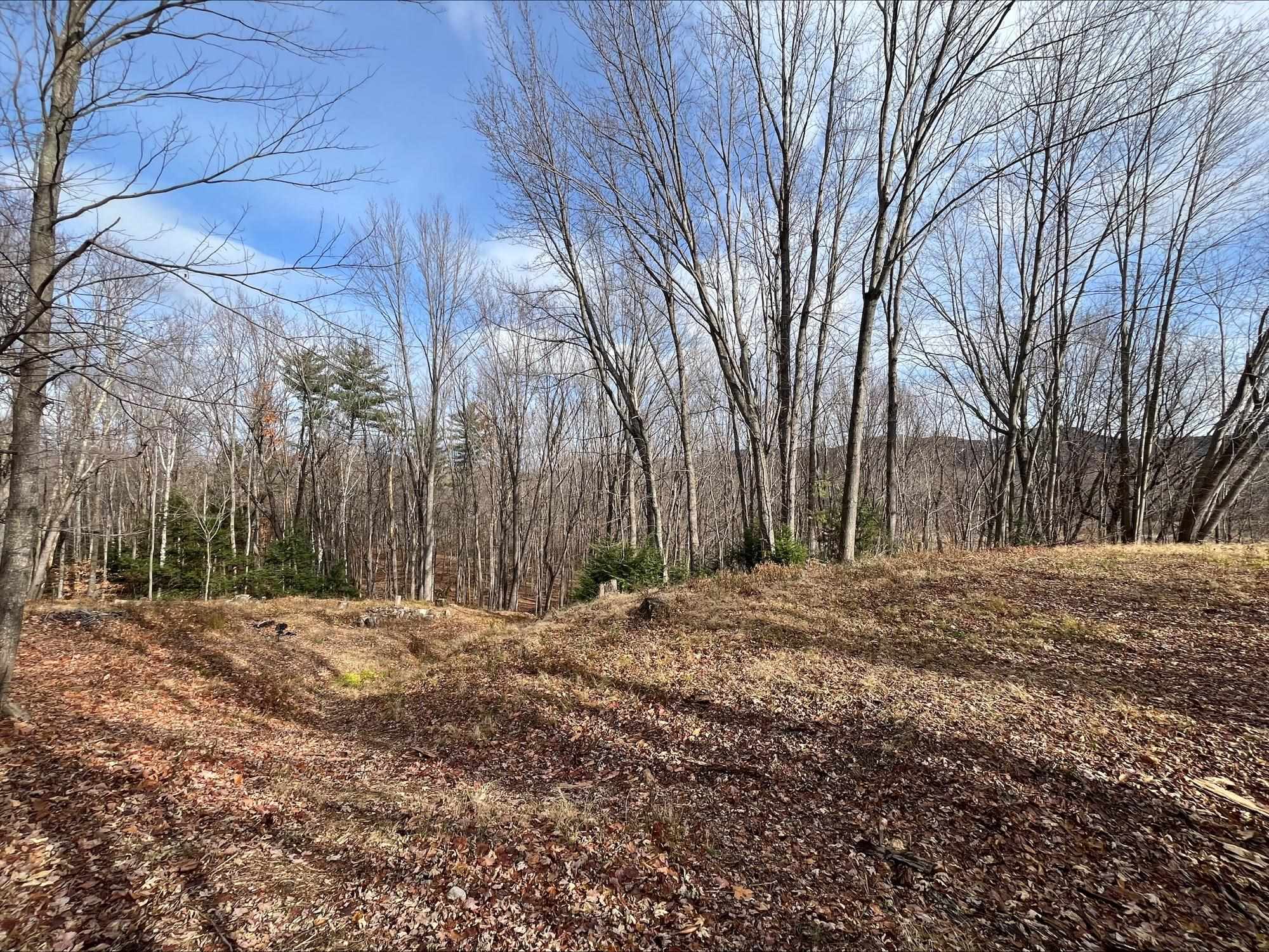 West Side Road North Conway, NH 03860 - Photo 11 of 17