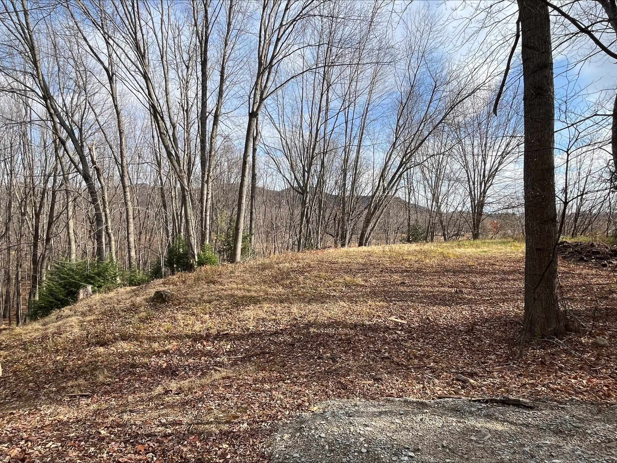 West Side Road North Conway, NH 03860 - Photo 3 of 17