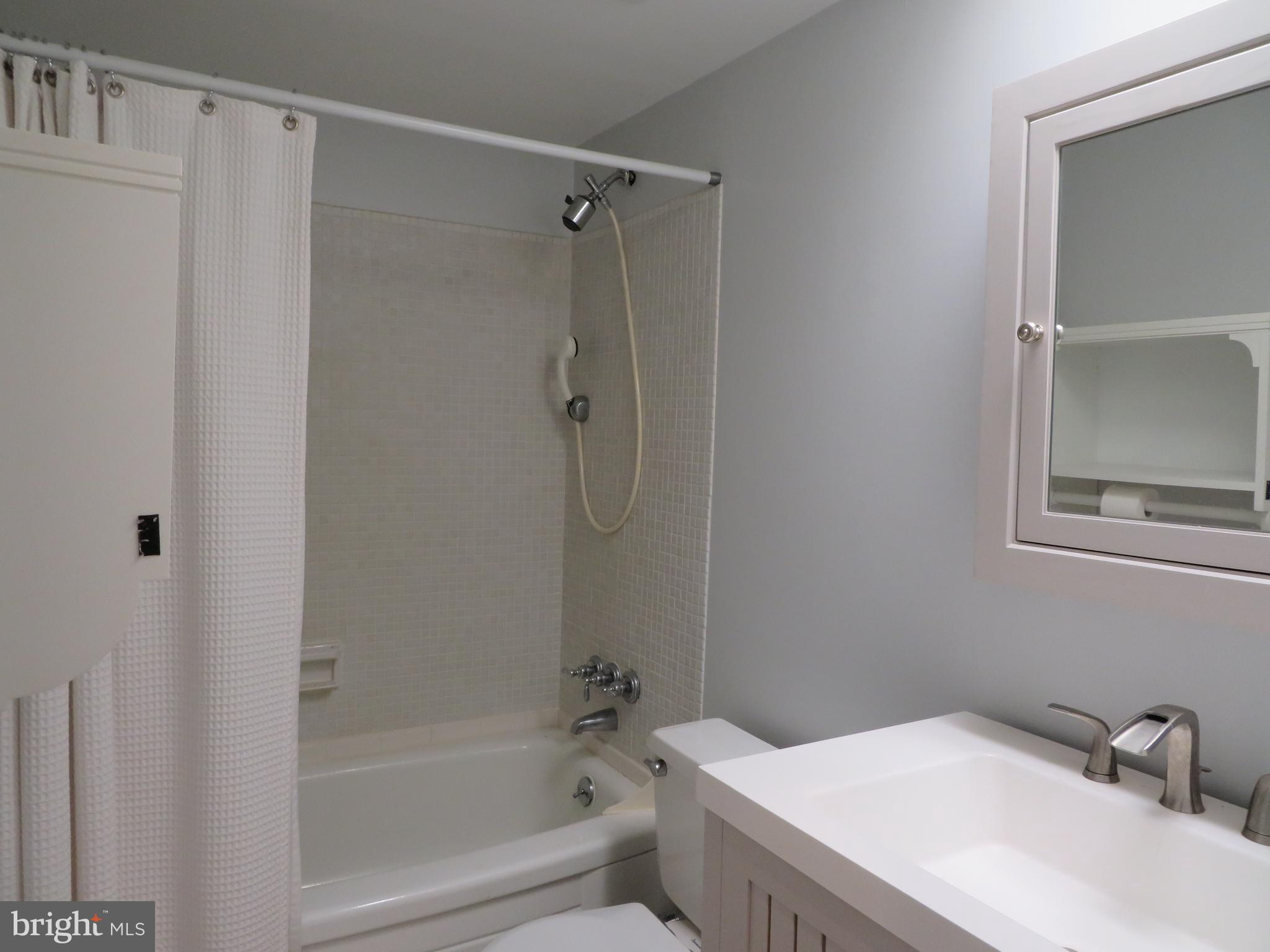 12 Cross Keys Road, Unit 12F Baltimore, MD 21210 - Photo 20 of 42 Hall Bathroom