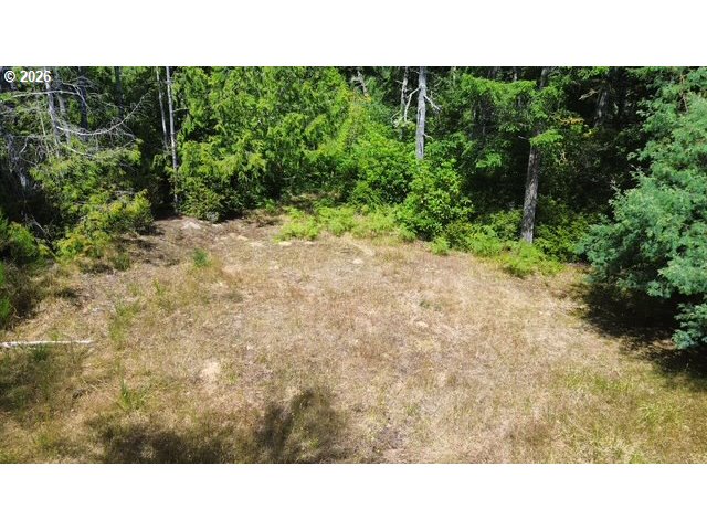 88972 Sutton Lake Road Florence, OR 97439 - Photo 16 of 18 a open area with trees in the background