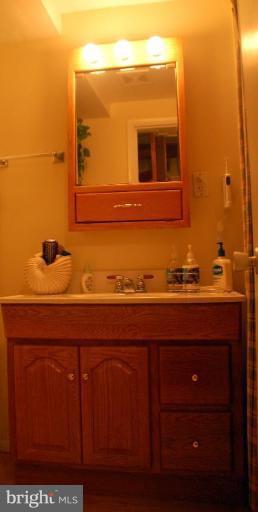 1315 Westhills Lane Reston, VA 20190 - Photo 14 of 30 Bath #2