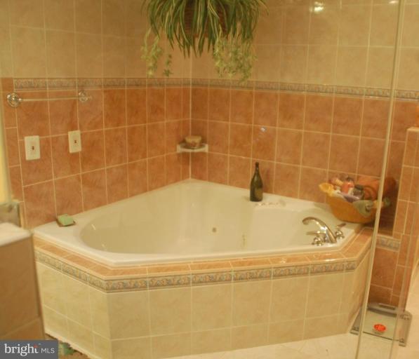 1315 Westhills Lane Reston, VA 20190 - Photo 16 of 30 Master Bath