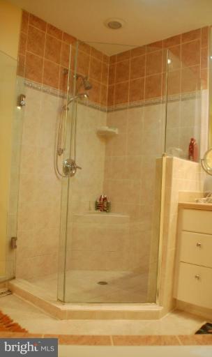 1315 Westhills Lane Reston, VA 20190 - Photo 17 of 30 Master Bath #2
