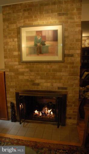 1315 Westhills Lane Reston, VA 20190 - Photo 8 of 30 Fireplace