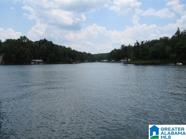 161 Anchor Ridge Road Wedowee, AL 36278 - Photo 10 of 40