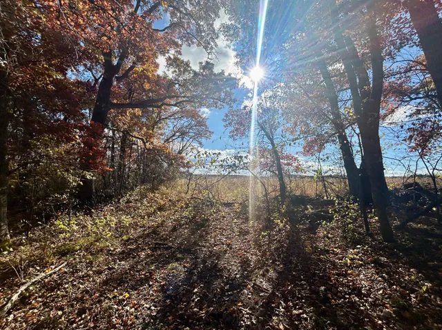 $249,900 | Tbd 125th Street, Amery, WI 54001