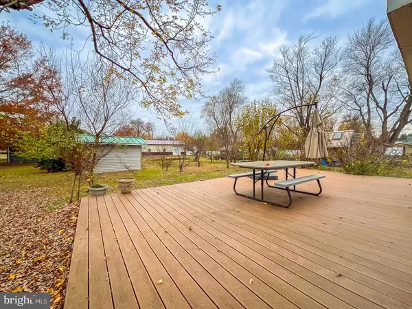 a view of a yard with trees