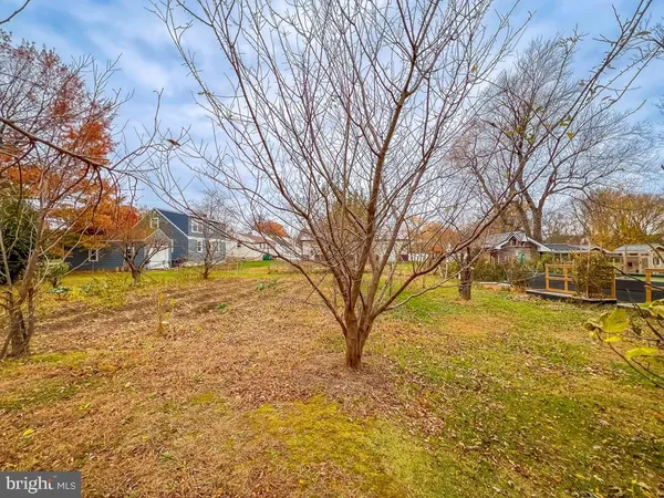 a view of open space with yard