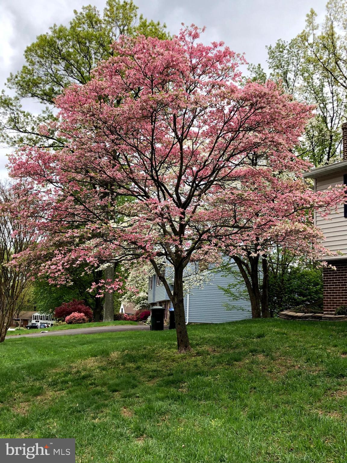 9511 Scorpio Lane Burke, VA 22015 - Photo 43 of 47