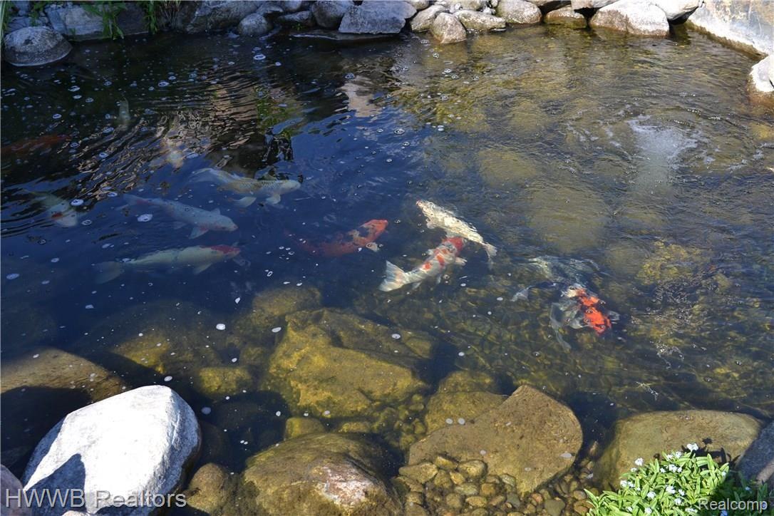 2693 Heights View Court Rochester, MI 48306 - Photo 92 of 95 Koi Pond