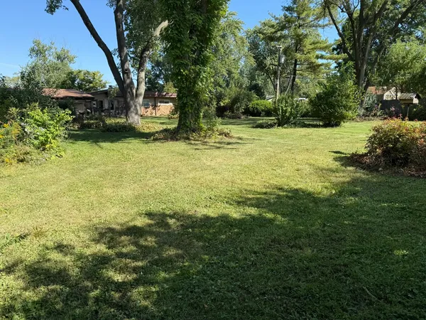 a view of a garden with trees