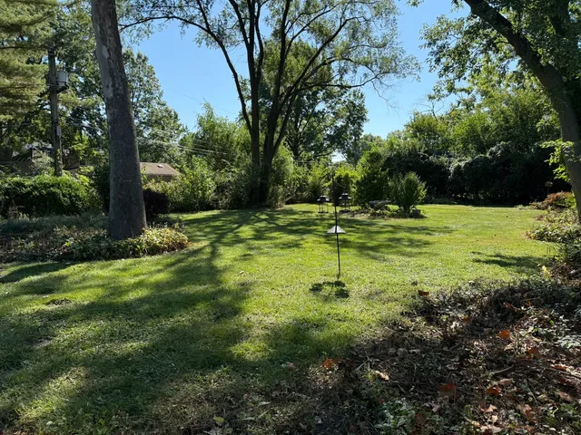 a view of a tree in a yard