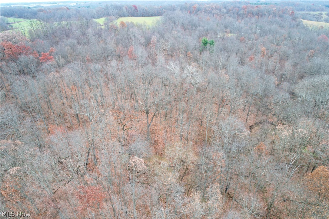 Briar Road Magnolia, OH 44643 - Photo 19 of 22