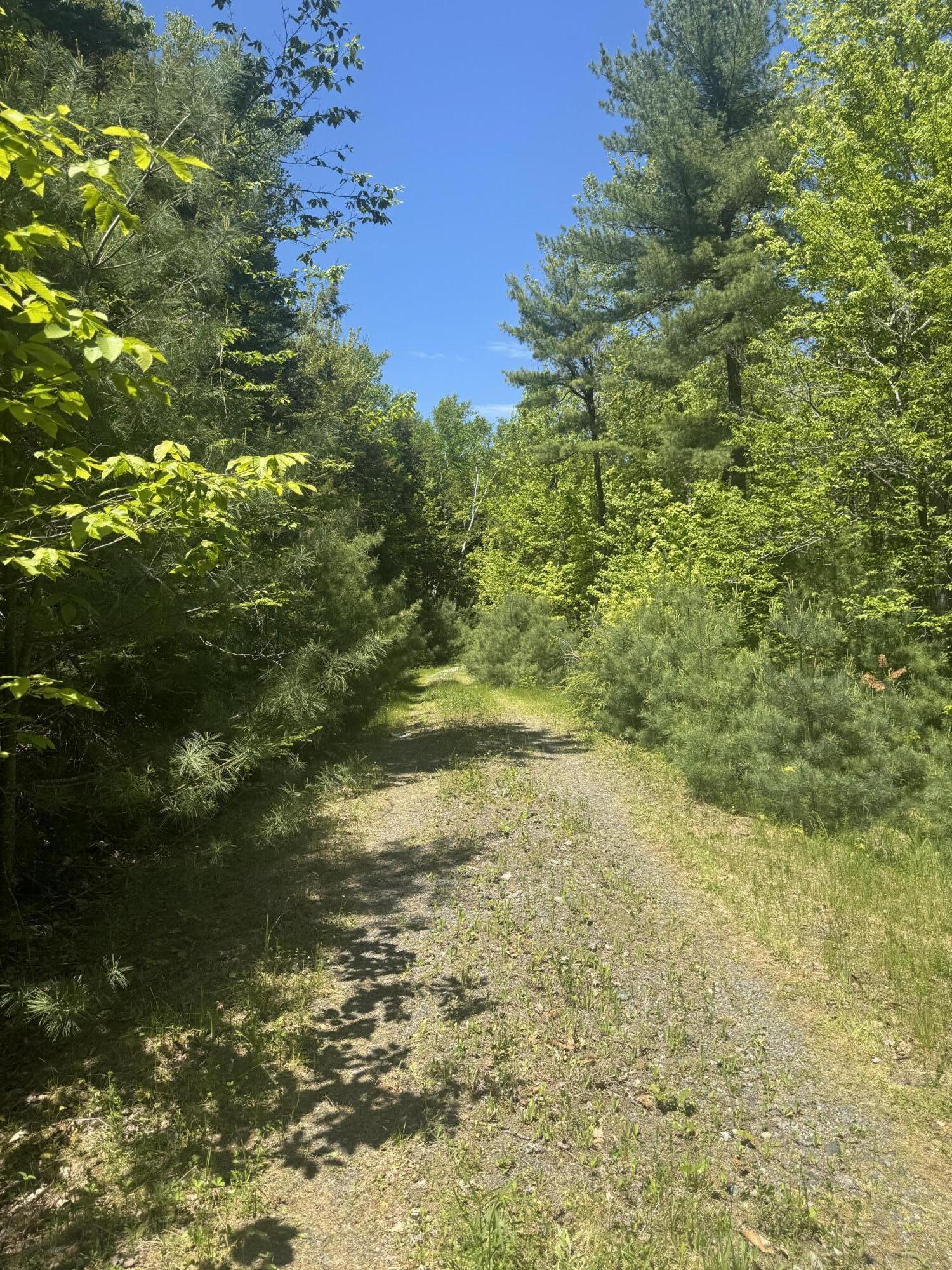 Lot# Bucksmills Road Bucksport, ME 04416 - Photo 11 of 15 IMG_3903