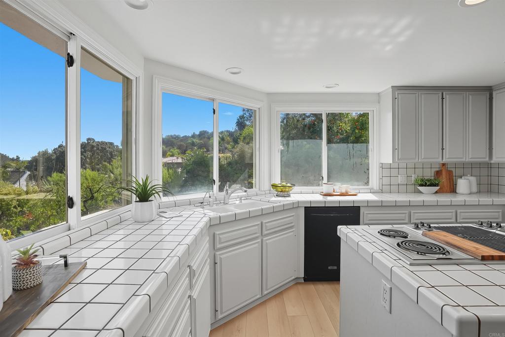 2206 Running Spring Place Encinitas, CA 92024 - Photo 19 of 44 a kitchen with a sink stove and cabinets