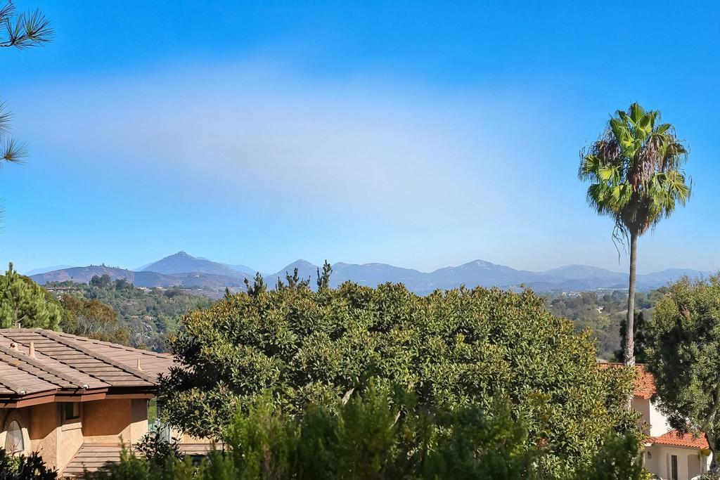 2206 Running Spring Place Encinitas, CA 92024 - Photo 5 of 44 a view of a city with a mountain in the background