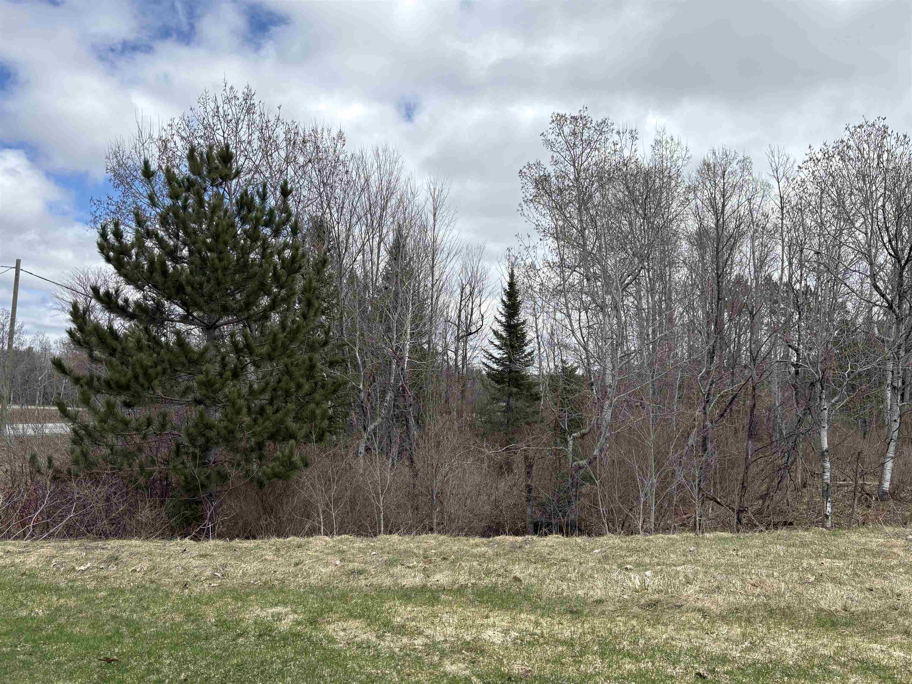 2450 North Marshall Road Beulah, MI 49617 - Photo 8 of 21