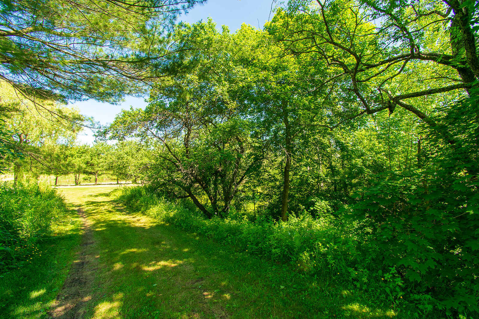 611 River Road Cushing, ME 04563 - Photo 26 of 46 611 River-25