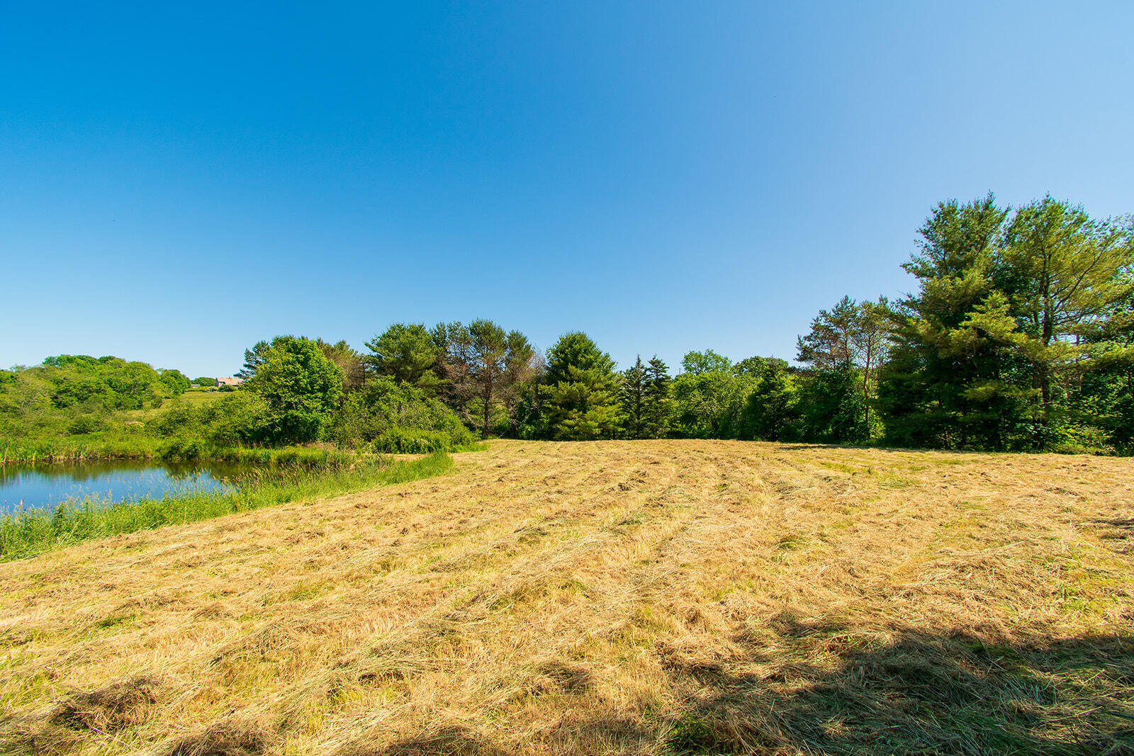611 River Road Cushing, ME 04563 - Photo 29 of 46 611 River-32