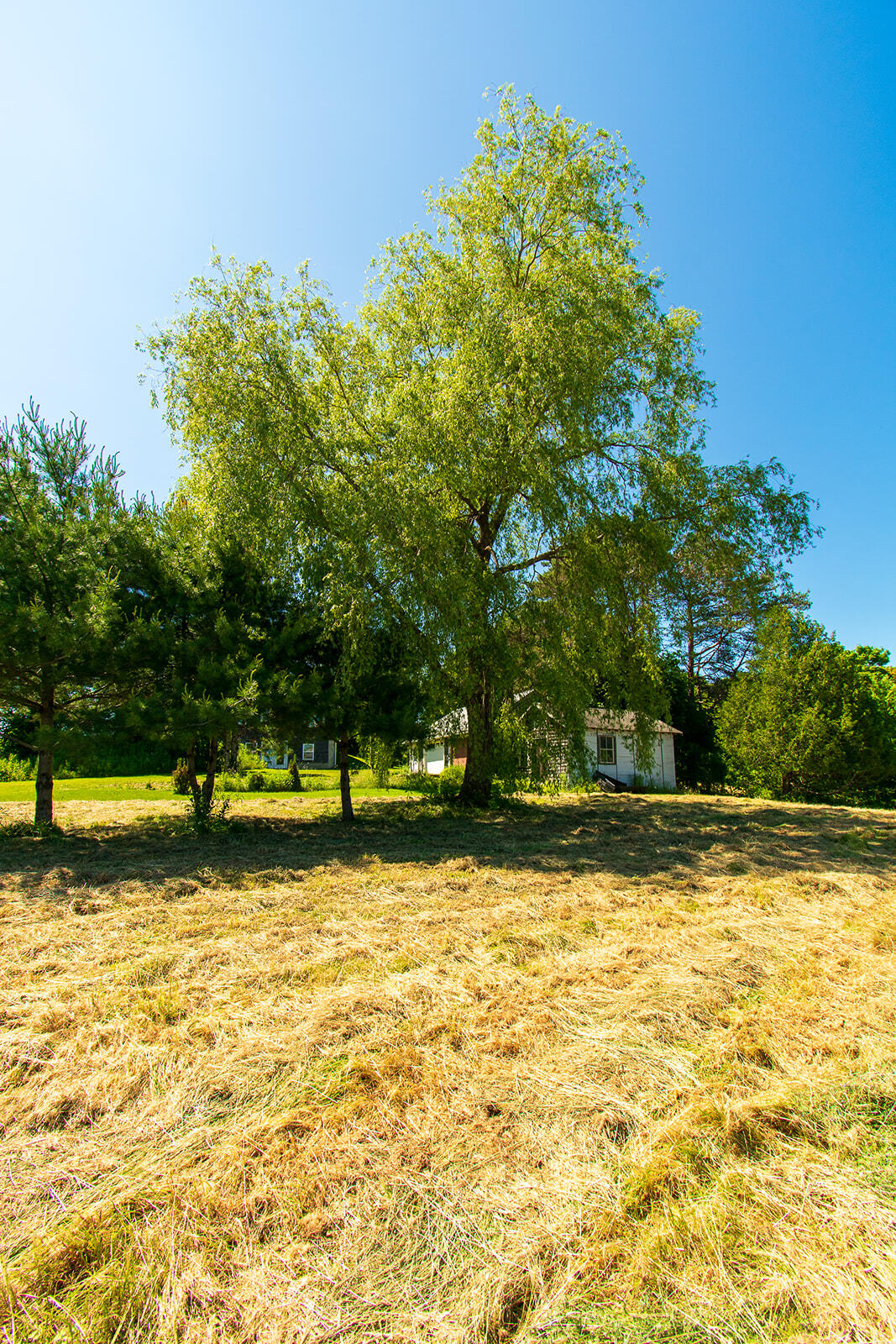 611 River Road Cushing, ME 04563 - Photo 30 of 46 611 River-33