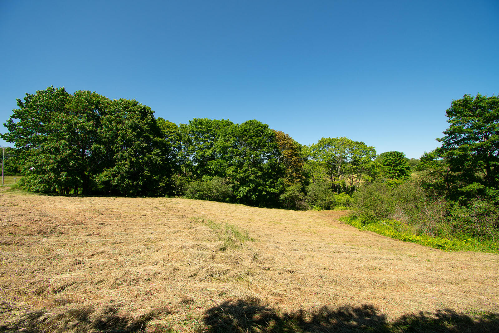 611 River Road Cushing, ME 04563 - Photo 35 of 46 611 River-39