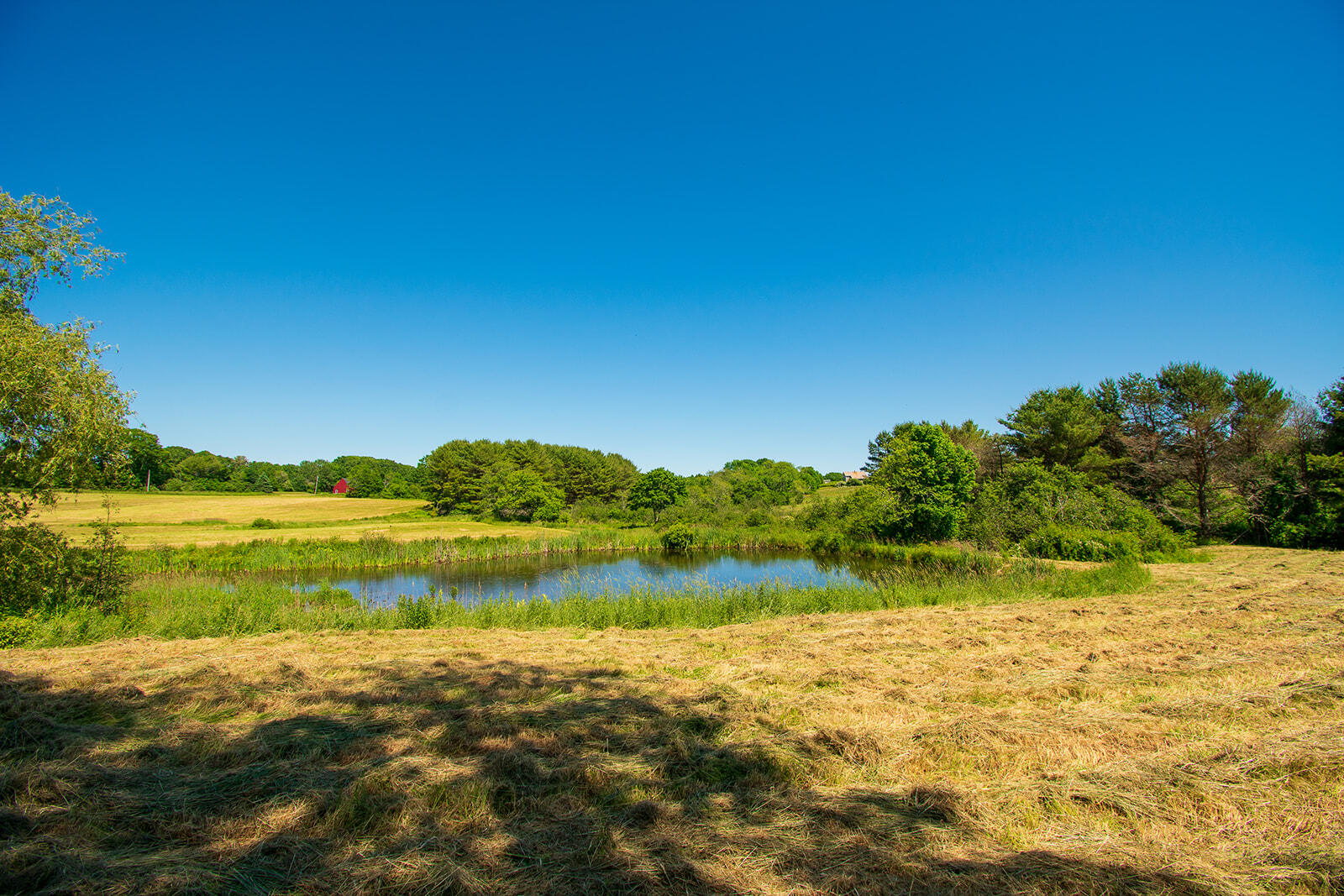 611 River Road Cushing, ME 04563 - Photo 6 of 46 611 River-31