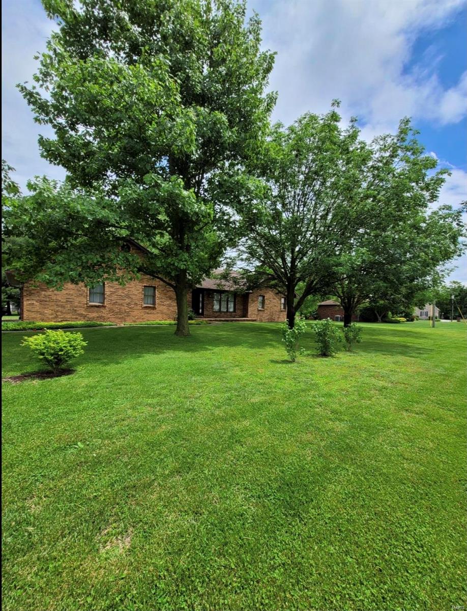 8312 Highway 159 Dorsey, IL 62021 - Photo 2 of 13